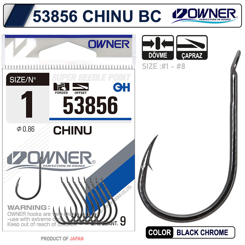 OWNER - Owner 53856 Chinu BC 