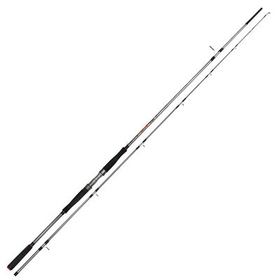 Wily - Wily President Shore Jig Kamışı 288 cm 15-65 gr